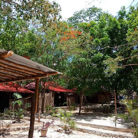 Hostel Soul Breeze Backpackers Diani Diani Beach Exteriér fotografie